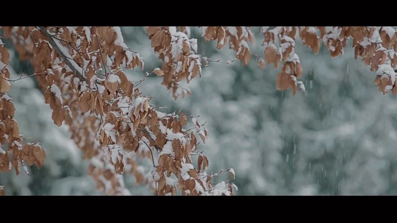 Neve