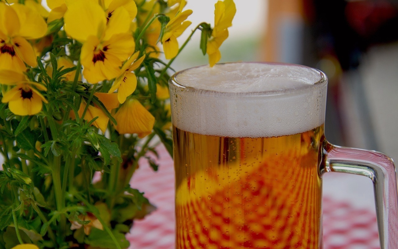 Live Beer Garden 20 gennaio 2023 mix dei brani suonati